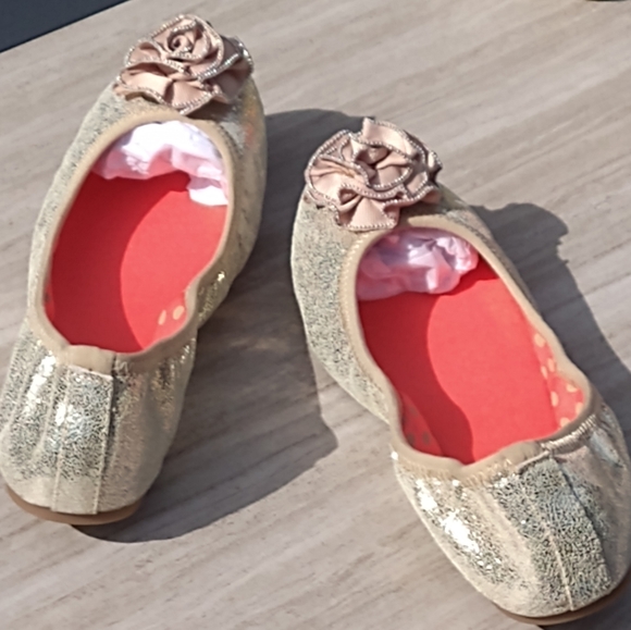 LP's Gold Crackle Metallic ๐ Ballet Flats - Picture 2 of 7